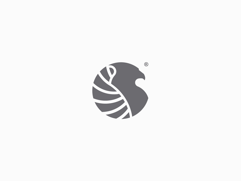 Eagle circle design eagle financial identity javier logo logofolio logotype mark monterrey torres