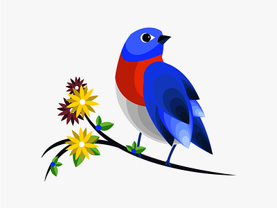 Bluebird illustration illustration illustrator vector