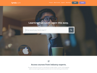 Lynda.com Redesign