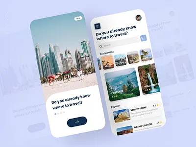 Travel and Tourism Mobile App 3d animation branding graphic design logo motion graphics ui