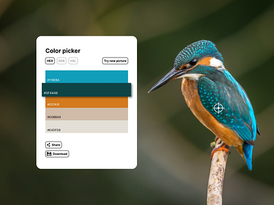 DailyUI 060: color picker bird color picker dailyui dailyui 060: color picker figma ui