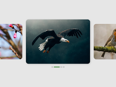 DailyUI 072: image slider