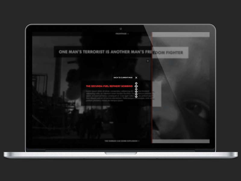 Apartheid Website Concept