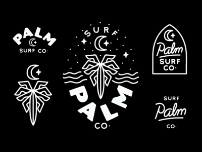 Palm Surf Co Branding branding hand drawn illustration logo wordmark