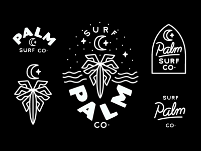 Palm Surf Co Branding