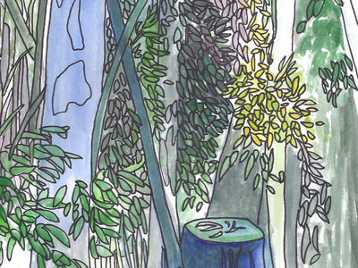 Day 26 illustration plant watercolor
