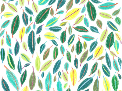 Day 43 colored pencil illustration pattern plant