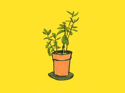 Day 92 colored pencil illustration plant
