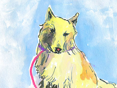 Lobo dog gouache illustration pet