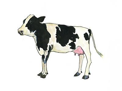Moo animal cow farm illustration