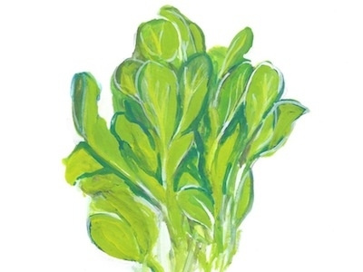 spinach food illustration salad spinach vegetable