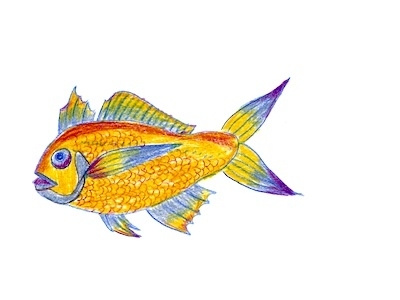 another fish colored pencil illustration