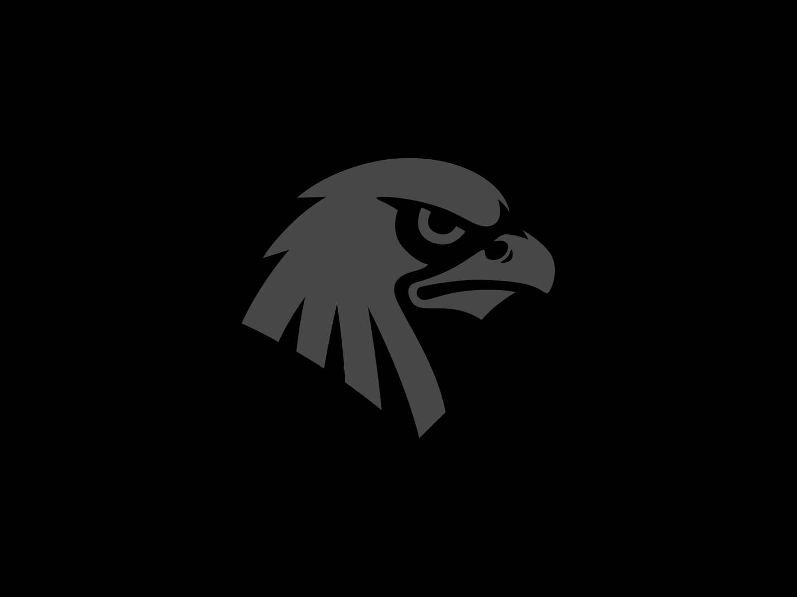 Hawk mark with motion after effects bird bird logo gif hawk logo loop mark minimal motion shaking head bird simple animation vector