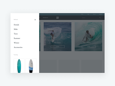 Surf Website app daily 100 challenge design flat minimal ui ux