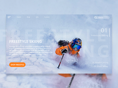 Ski Website design flat minimal ui ux web website