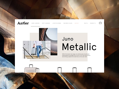 Antler - Category Page Responsive Animation animation design e comerce eshop flat interactive interface luggage magento motion responsive shop typogaphy ui ux video web webdesign website