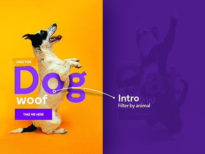 Chewy e-shop dog eshop intro layout nice purple ui ux web website yellow