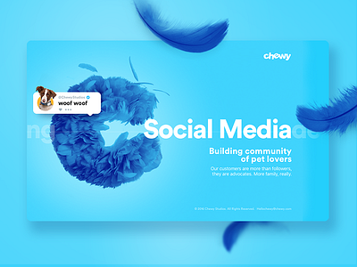 Chewy Studios blue chewy cute design feather landing layout social ui ux web website
