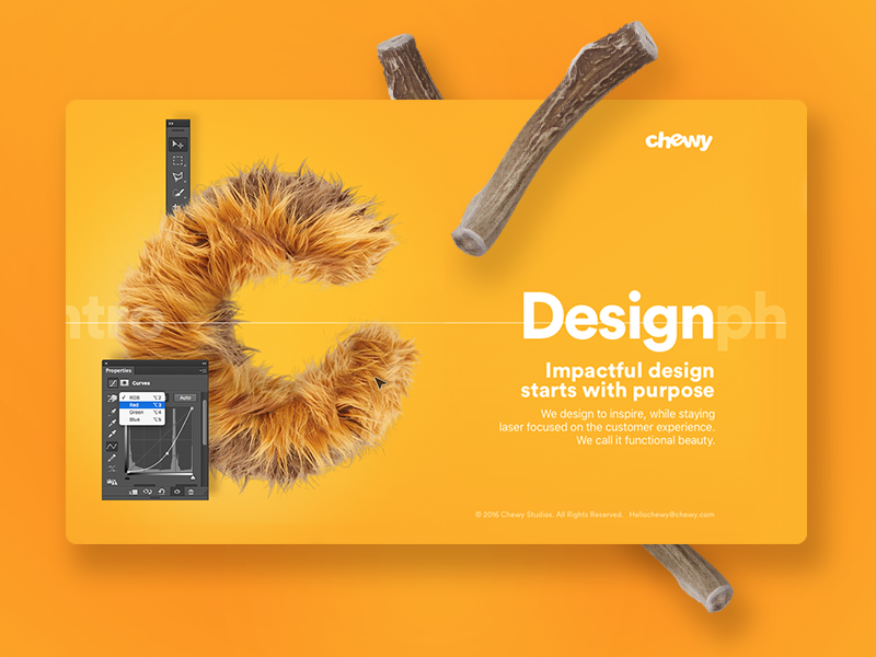 chewy website