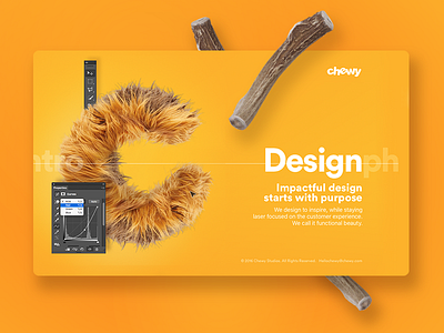 Chewy Studio chewy cute design fur landing layout orange ui ux web website yellow