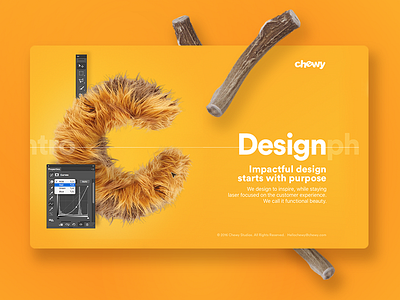 Chewy Studio