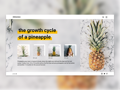Pineapple Plantation Website azores blur design flat fruit minimal minimalism nature pineapple plantation ui webdesign yellow
