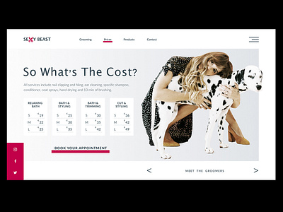 Pet Grooming Website 2d animal black white black and red clean design dog flat minimal pricing page pricing plan ui web