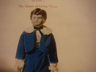 The Nature of Living Things