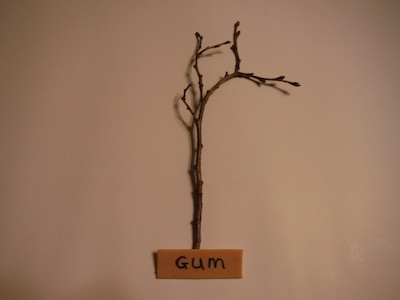 Stick of Gum