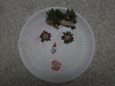 Lunch Buddy No.1 face friends faces food face lunch lunch buddy lunch date paper plate sticker strawberries