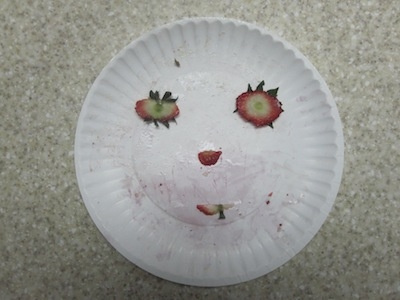 Lunch Buddy No.3 faces friends lunch lunch date paper plates strawberries