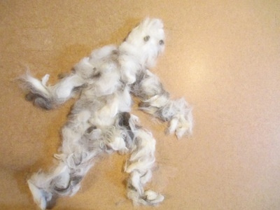 Yeti cat hair creatures cryptozoology hair stop motion animation video art