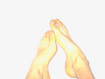 Bird Feet (test)