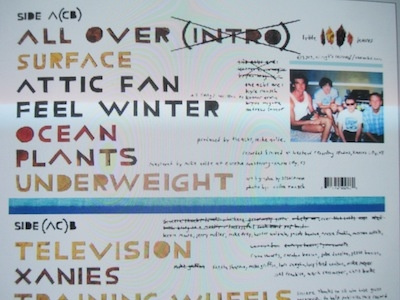 Little Leaves (vinyl back) album art album packaging band art the acbs typography