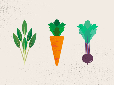 Veggies beets carrots farm food greens healthy icons organic sage vegetables