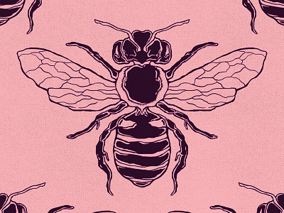Bee bee bzz detailed honey honeycomb insect logo wings