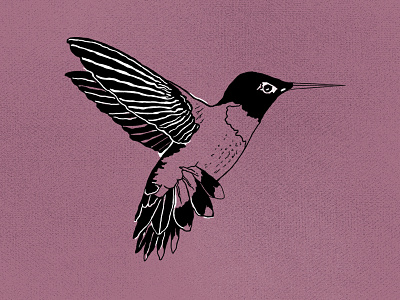 Birdie bird compre draft drawing flight handdrawn hummingbird logo rough sketch tweet wip
