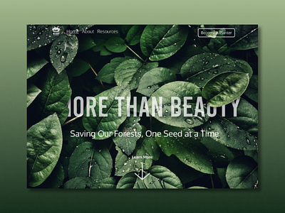 More Than Beauty concept ui design ux design ux design landing page web design website