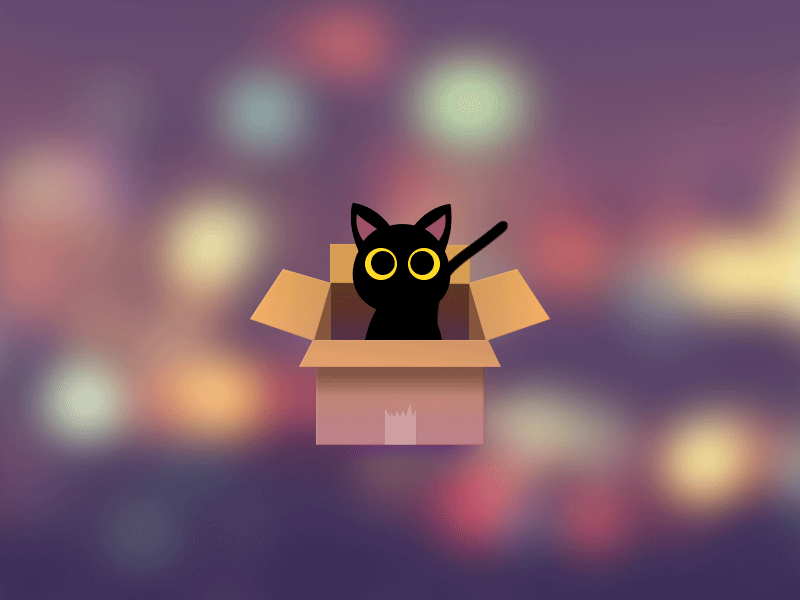 Take me home cat，night，ae，motion，gif