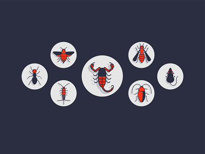 Powerstrike Pest Control - Bug Icons branding design flat icon illustration illustrator web