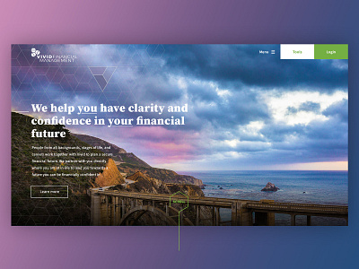 Vivid Financial Management - Home Page Hero branding design ui web web design