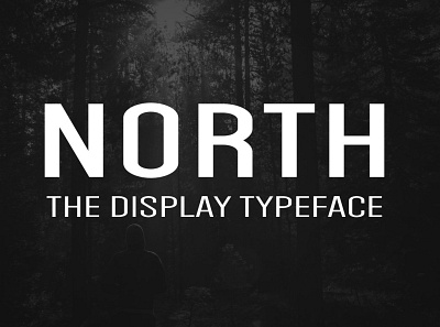 NORTH - Display Typeface designova display display font font font design font family fonts headline minimal minimalist sell selling type typeface typeface design typeface designer typeface. lettering typefaces typography webfonts