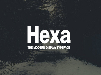 HEXA - Modern Display Typeface designova display font font font design font family fonts headline minimal minimalist sell selling type typeface typeface design typeface designer typeface. lettering typefaces typography webfonts