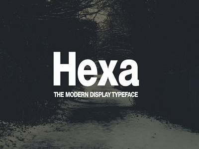 HEXA - Modern Display Typeface