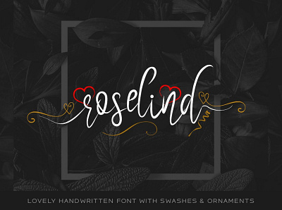 Roselind Font + Swashes & Ornaments designova font font design font family fonts handmade handwriting handwritten minimal minimalist sell selling type typeface typeface design typeface designer typeface. lettering typefaces typography webfonts