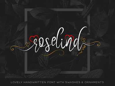 Roselind Font + Swashes & Ornaments