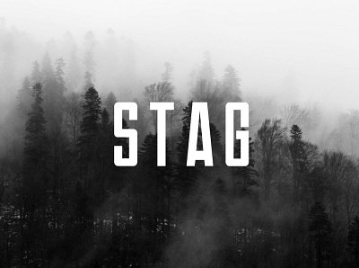 STAG - Display / Headline Typeface designova display display font font font design font family fonts headline minimal minimalist sell selling type typeface typeface design typeface designer typeface. lettering typefaces typography webfonts