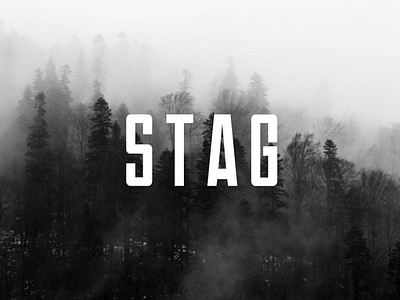 STAG - Display / Headline Typeface