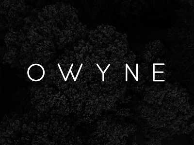 OWYNE - Modern & Stylish Typeface designova display display font font font design font family fonts headline minimal minimalist sell selling type typeface typeface design typeface designer typeface. lettering typefaces typography webfonts