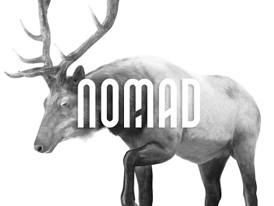 NOMAD - Unique Display Typeface